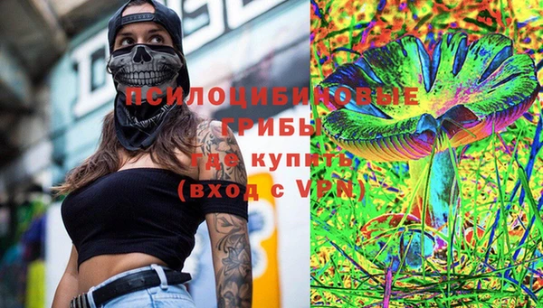 ПСИЛОЦИБИНОВЫЕ ГРИБЫ Бронницы
