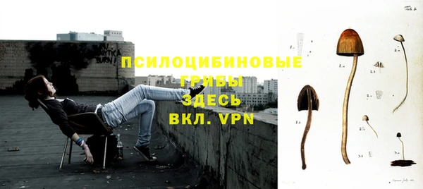 каннабис Дмитриев