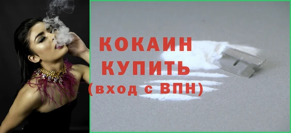 гидра Дмитровск