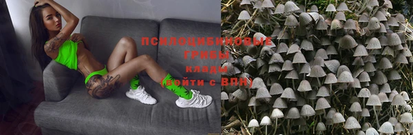 СК Дмитров
